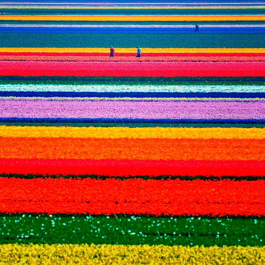 Foto por: Allard Schager