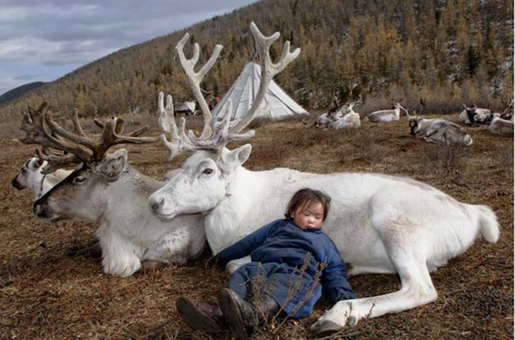 reindeerriders01