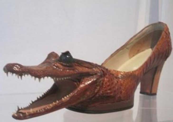 zapato2-300x212