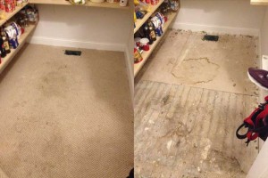 Ella se aburrió de su alfombra sucia y creó un asombroso piso de madera