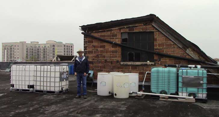 Personas sin hogar construyeron un enorme jardín orgánico y lograron