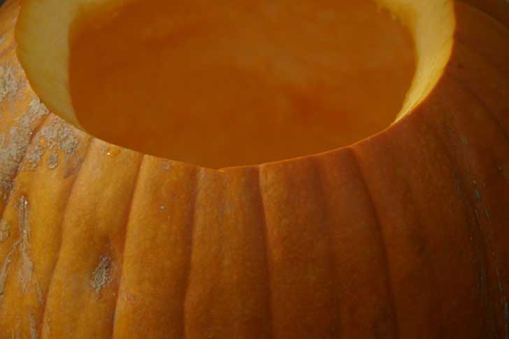 pumpkin-201101_640