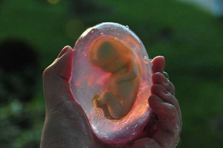 23-Foetus-Soap-610x405