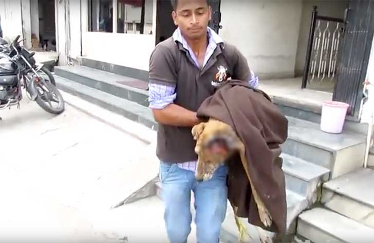 Se fue a esconder a un sótano para morir tranquilo, pero todo cambió