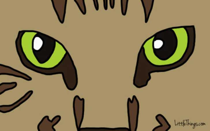 cateyes-600x374