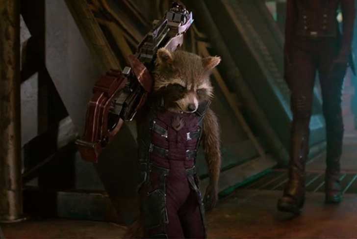disfraz-halloween-rocket-raccoon-chase-borchardt-1