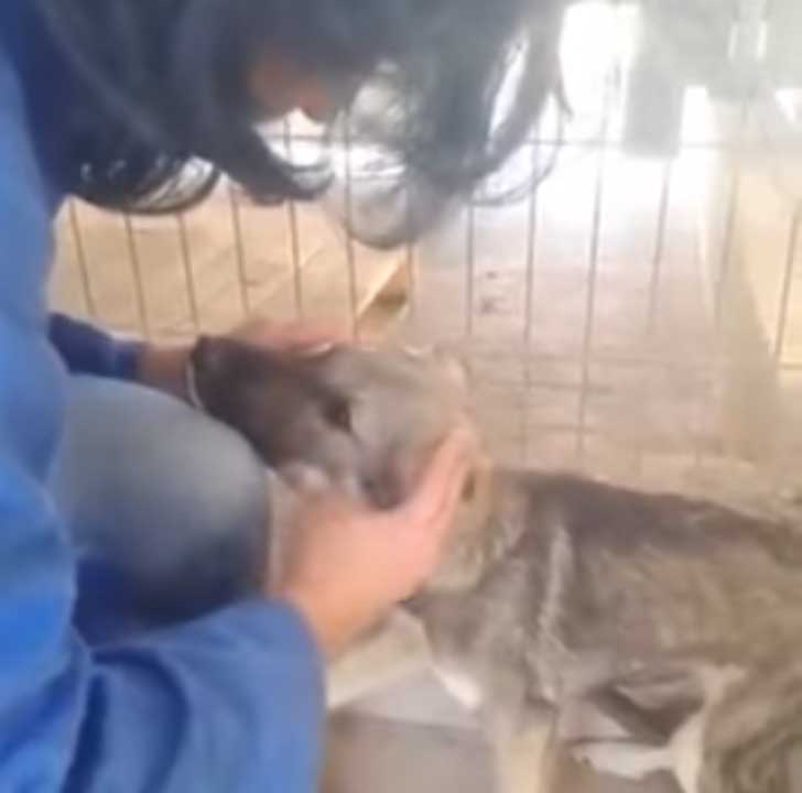 Captura-de-pantalla-2015-12-30-a-las-18.27.53