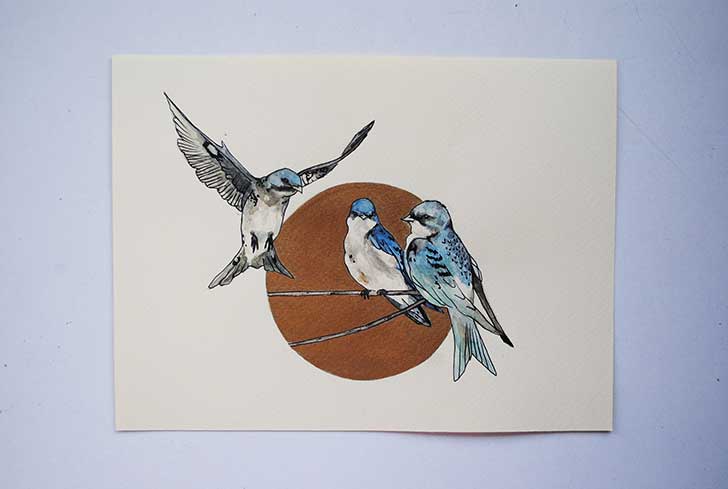 pajaros-20x25