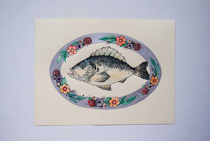 pez-20x15
