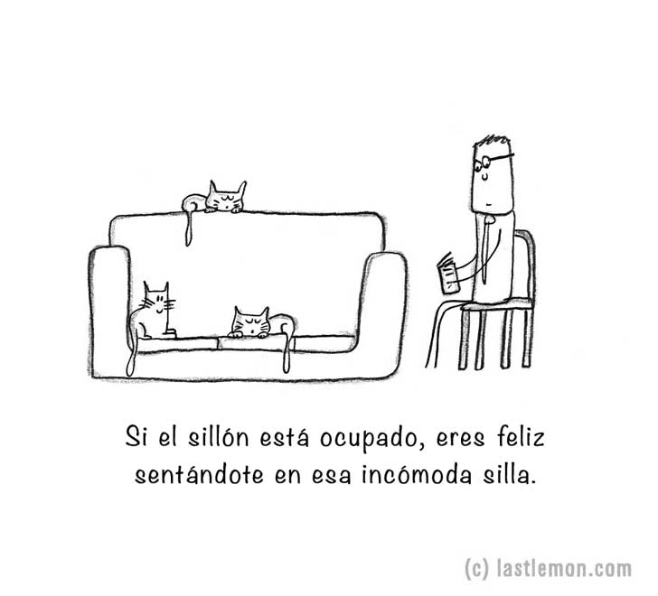 20-signs-that-youre-a-crazy-cat-parent-5__880