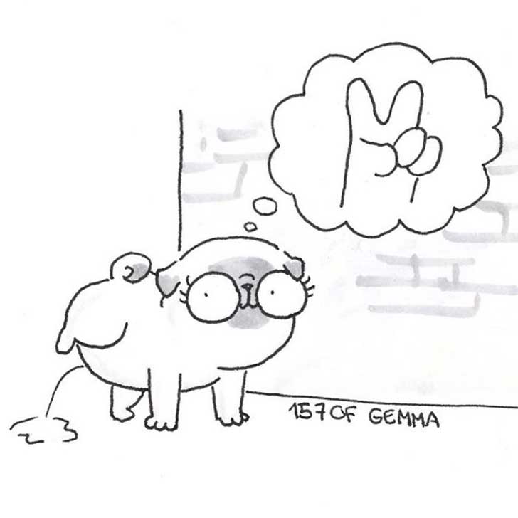 The-origin-of-pugs-in-one-simple-image34__700