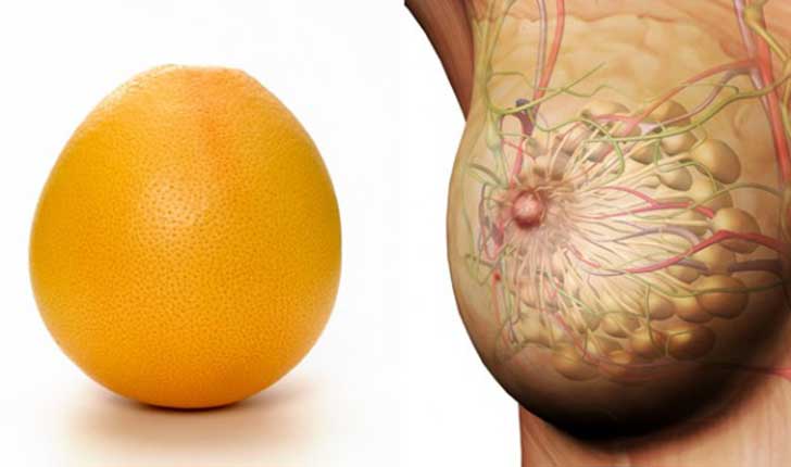 naranja-pechos-e1449061080582