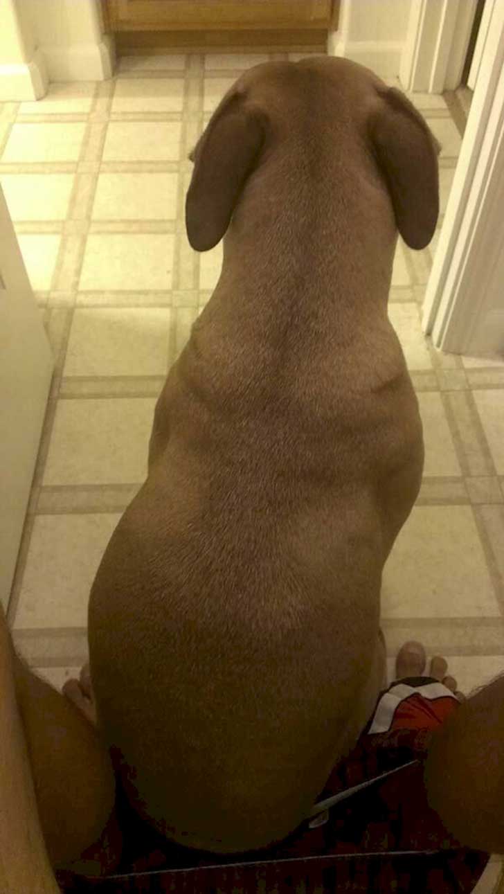 247