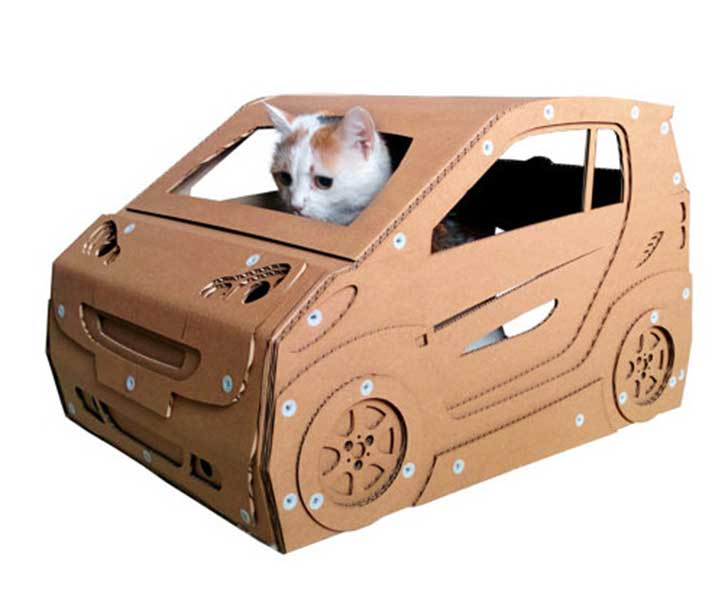 cat_car