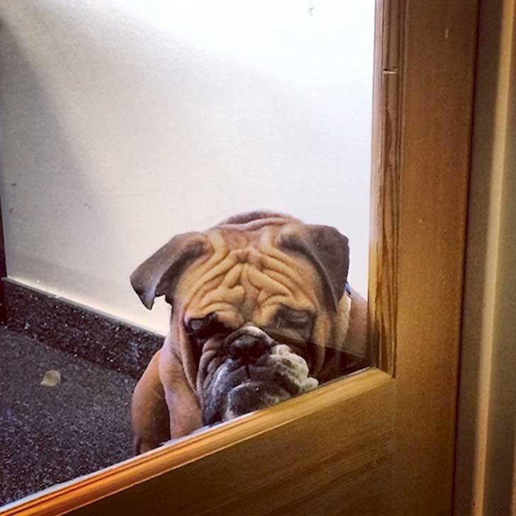 mirada
