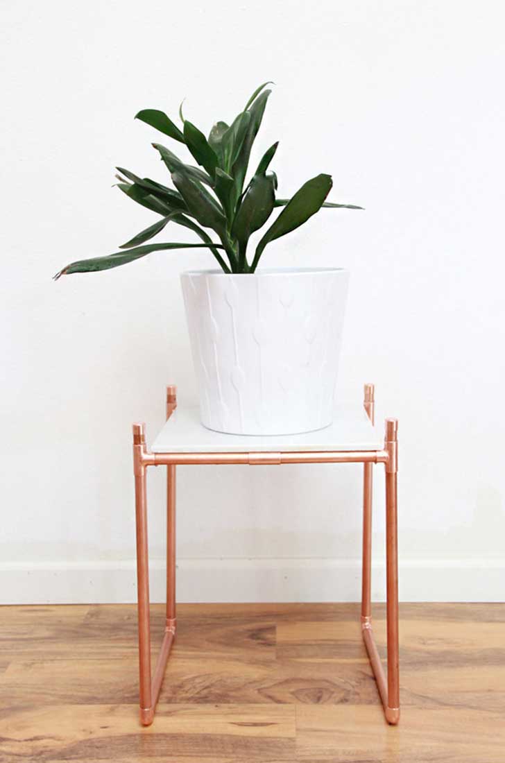 planta