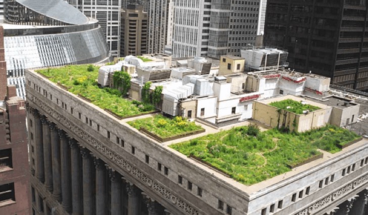green-roofs-1