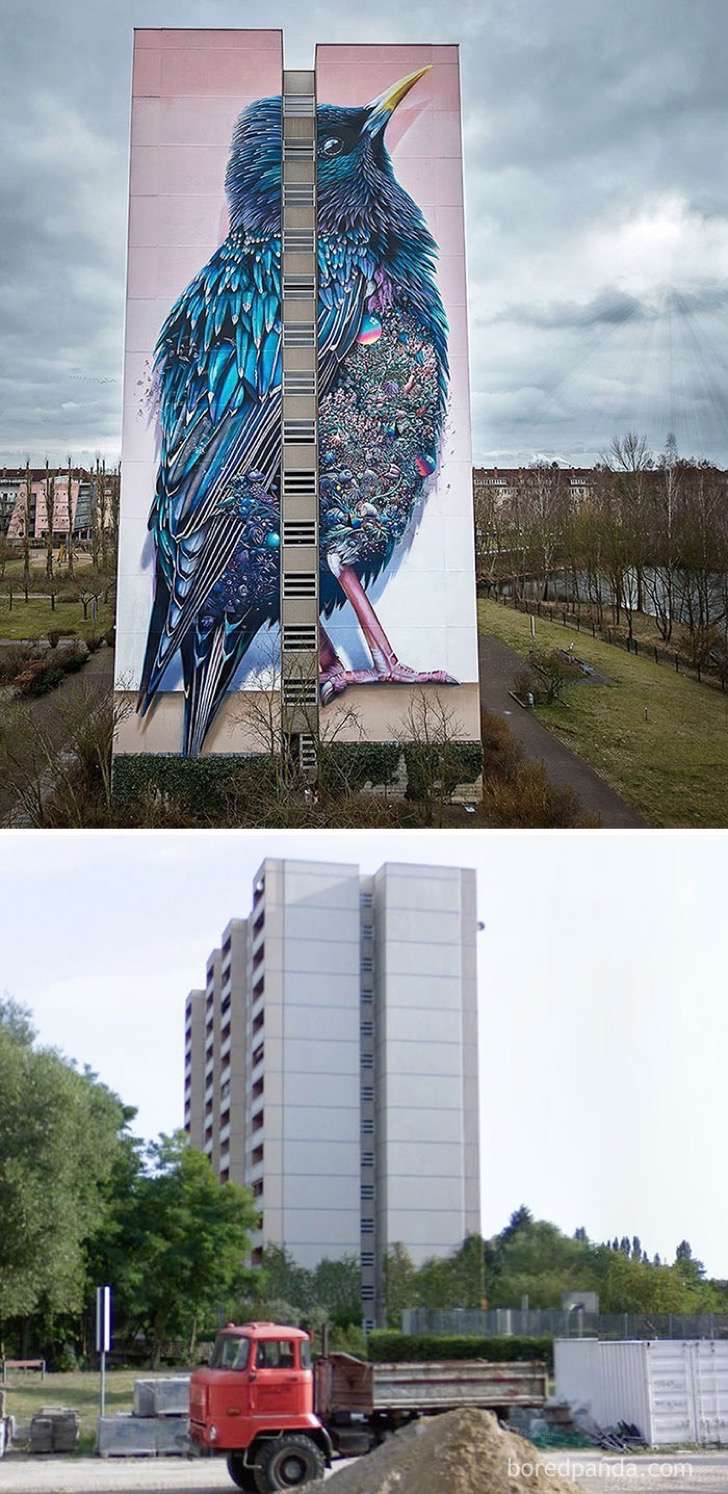 before-after-street-art-boring-wall-transformation-2-580df352b1353__700-2