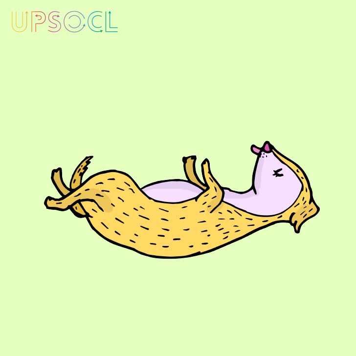 Macarena Salinas/UPSOCL