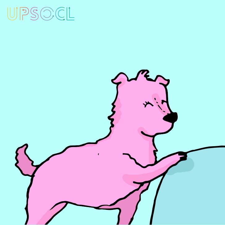 Macarena Salinas/UPSOCL