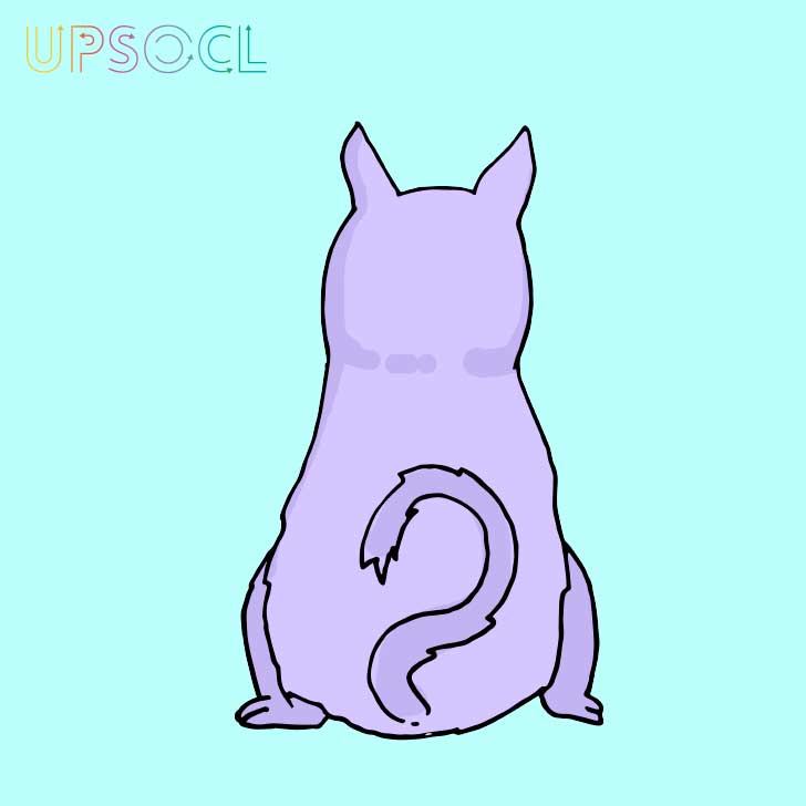 Macarena Salinas/UPSOCL