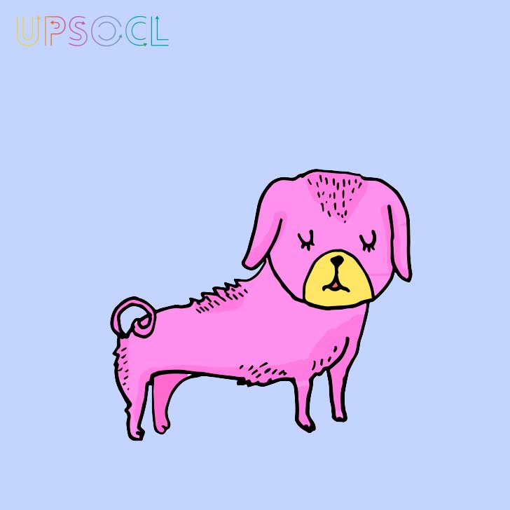 Macarena Salinas/UPSOCL