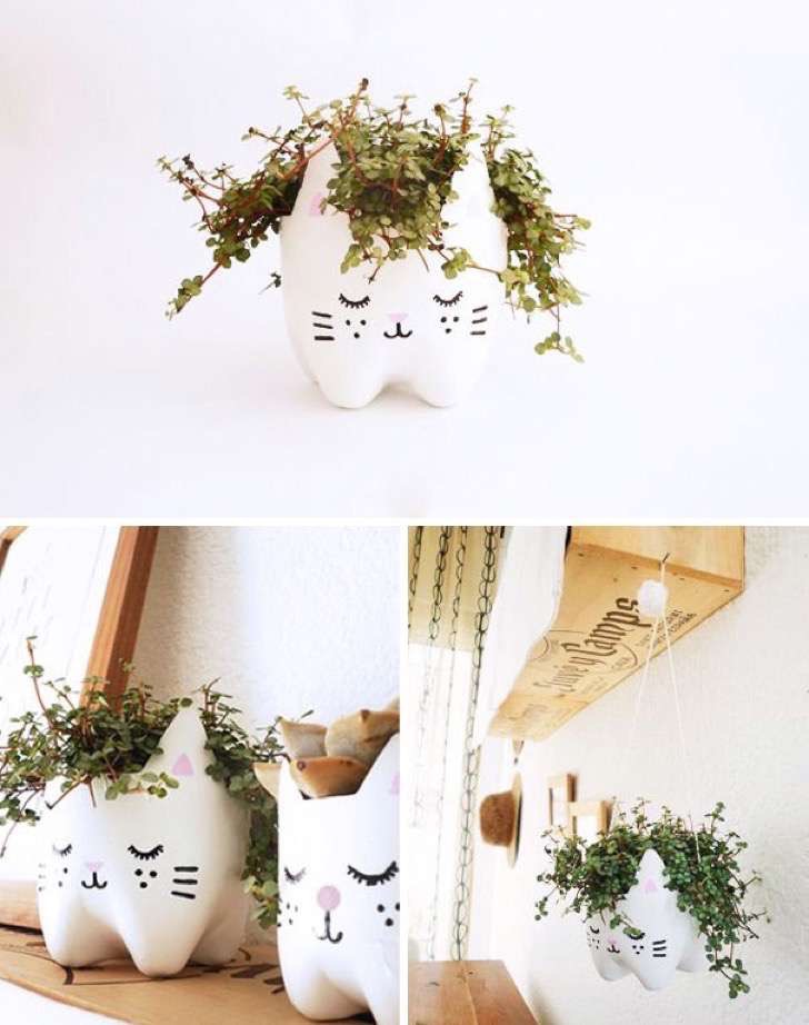 flowerpot Gatuna