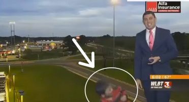 20 increíbles ideas que puedes hacer tú mismo en tu patio trasero | Upsocl