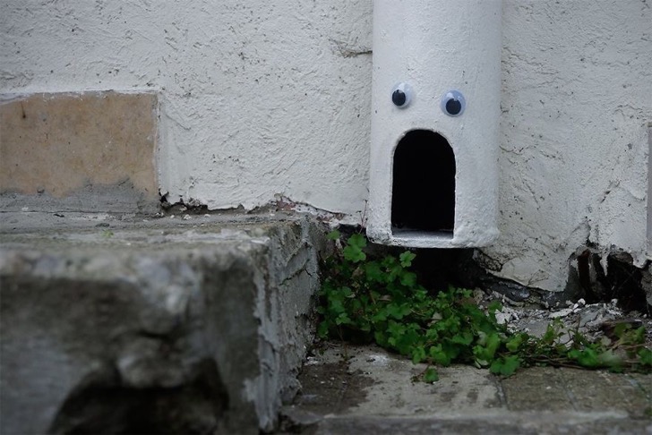 googly-eyebombing-street-art-bulgaria-51