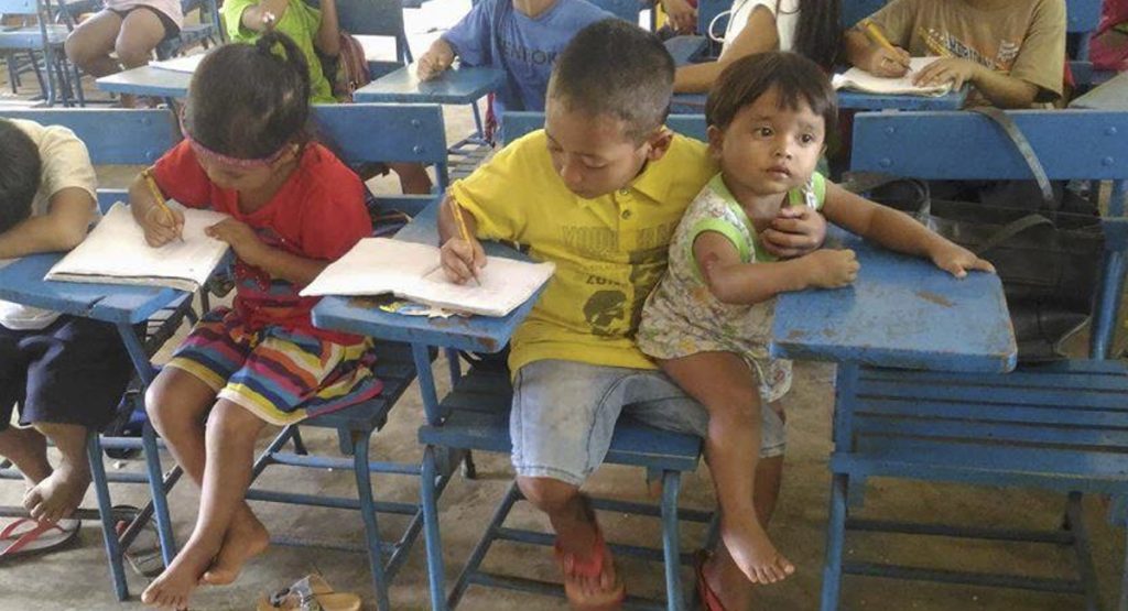 Para Trabajar En Un Zoo Que Hay Que Estudiar