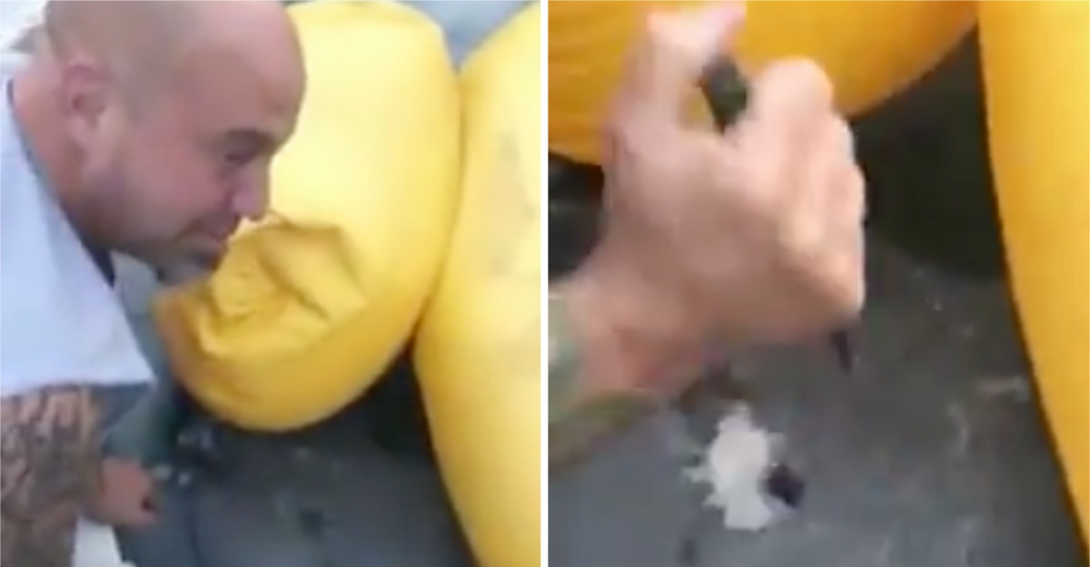 Nota una mancha en su piscina congelada. Al romper la gruesa capa de