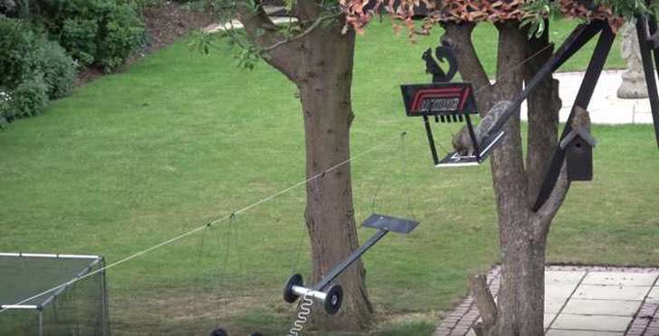 Construye pistas y hace carreras para las ardillas de su patio. Nada