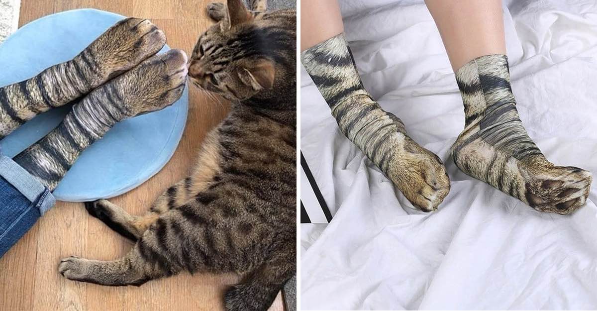 Pata De Camello Porque Se Forma