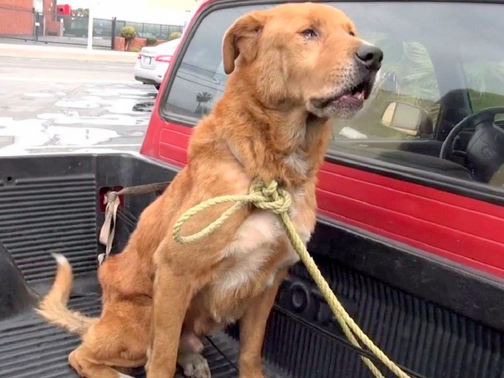 Kashvi 013 07Jan19 6