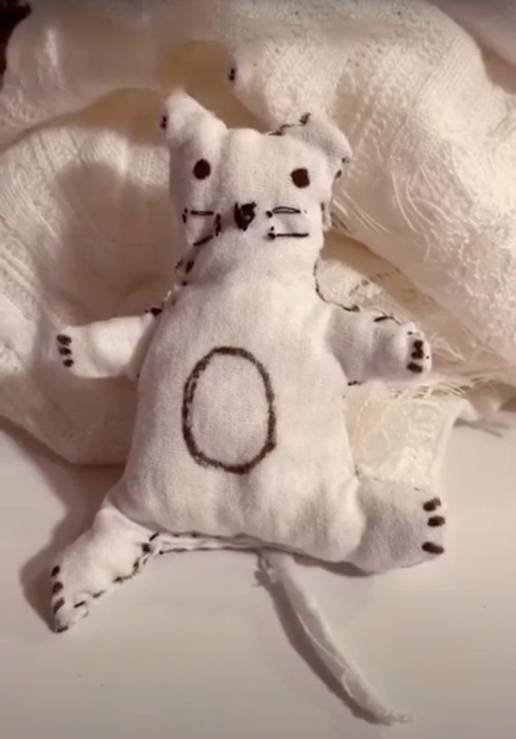 gatito abrazando peluche