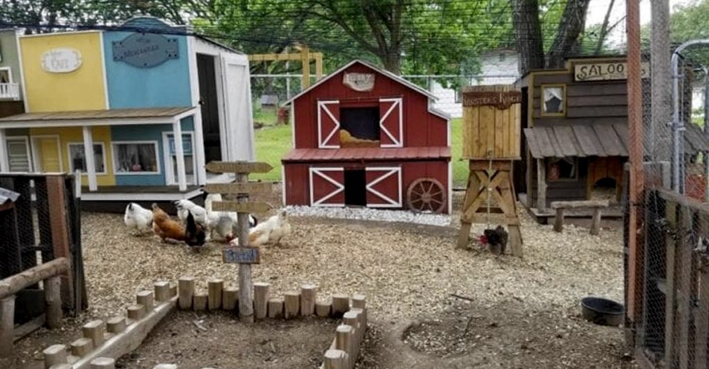 Construyó un enorme “pueblo” para las gallinas de su esposa. Podrán