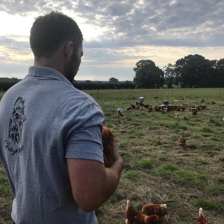 Aprovechó la pérdida de su trabajo para dedicarse a criar pollos y