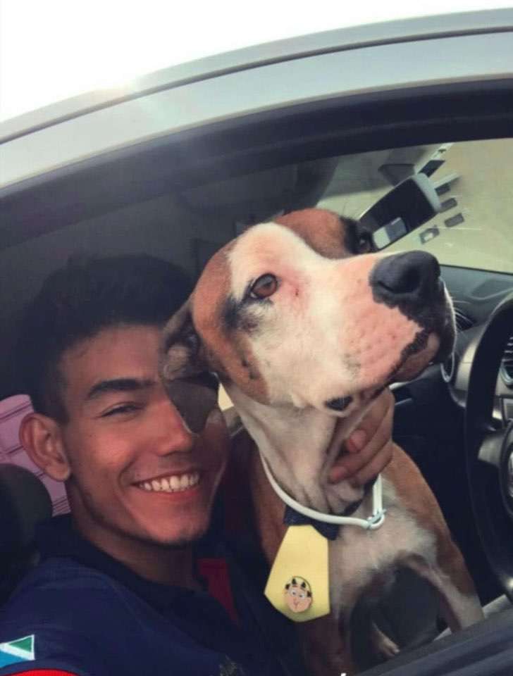 Joven encontró su auto robado en la calle con un perrito callejero encima y  lo adoptó. Ganó un amigo | Upsocl