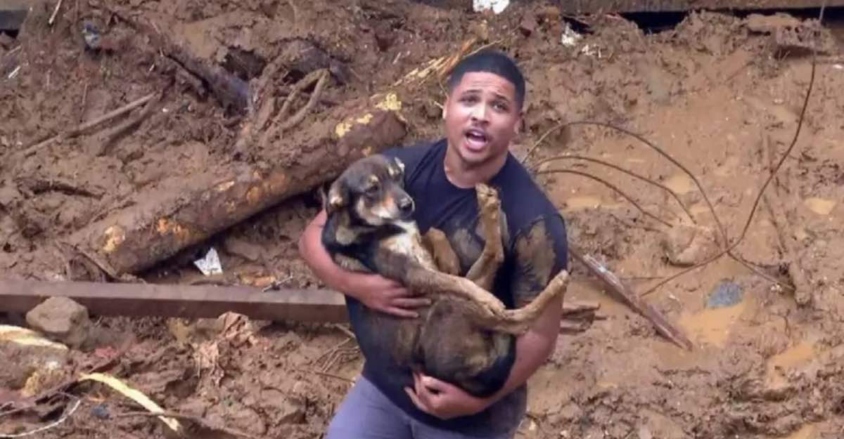 Joven encontró a sus perritos mientras buscaba a su familia tras inundación. Había perdido la fe | Upsocl