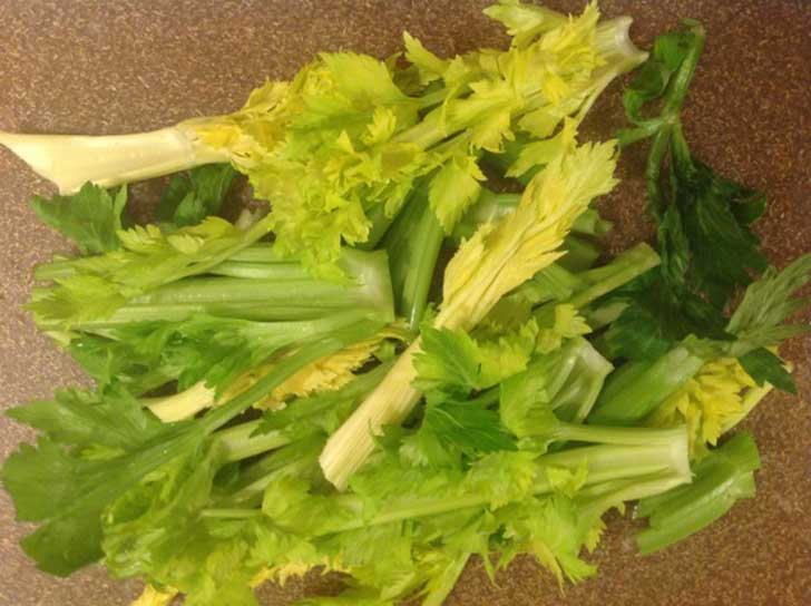 9-celery-tops