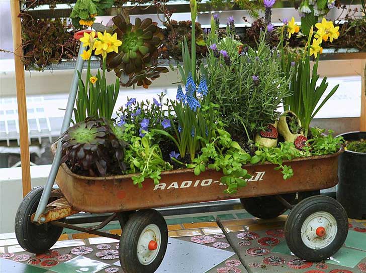 20 geniales ideas para dar a tu jardÃn una apariencia única con ...